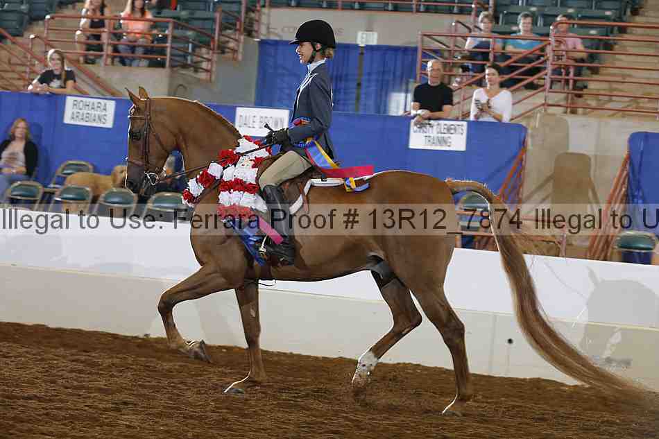Proof 13r12_7874