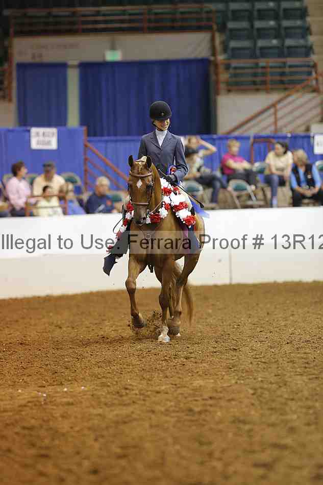 Proof 13r12_7875