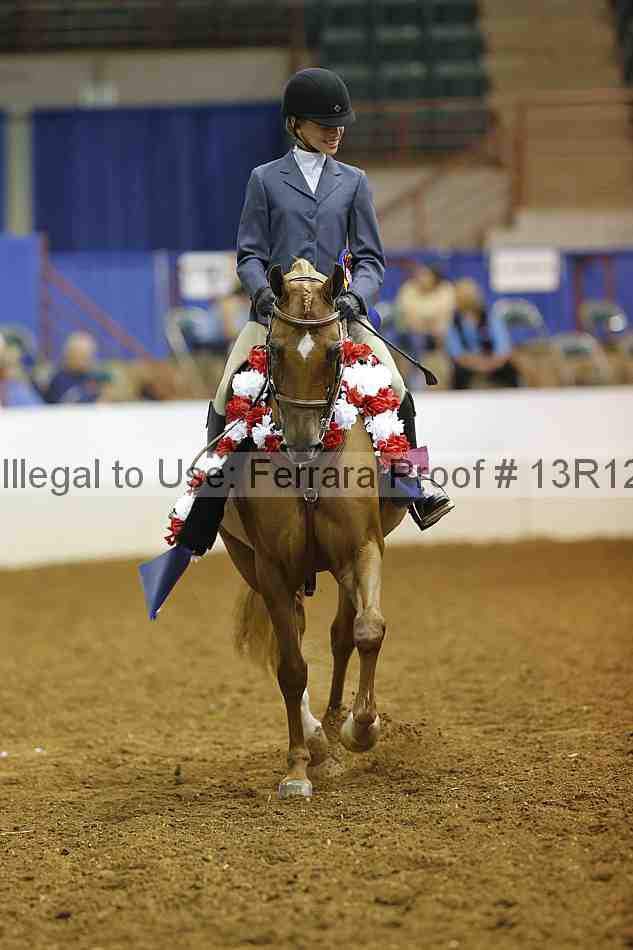 Proof 13r12_7876