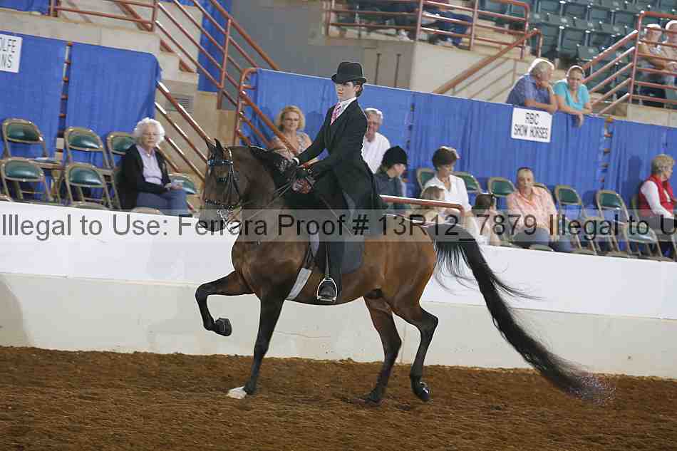 Proof 13r12_7879