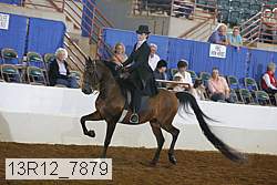 13r12_7879 proof