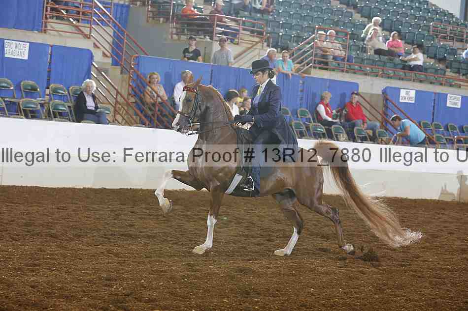 Proof 13r12_7880