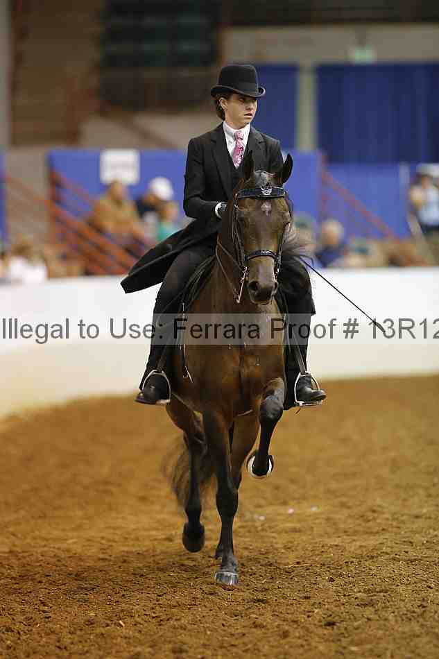Proof 13r12_7881