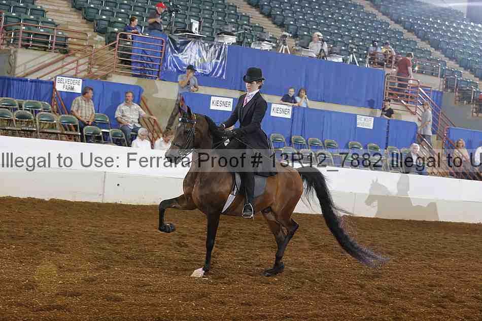 Proof 13r12_7882