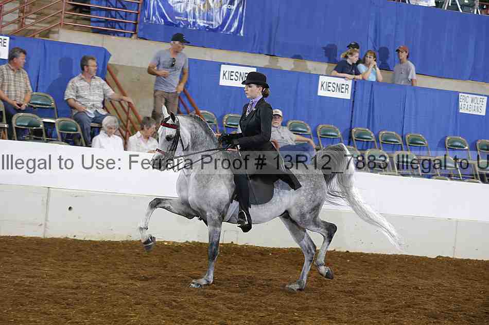 Proof 13r12_7883