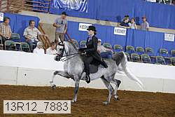 13r12_7883 proof