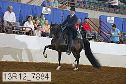 13r12_7884 proof