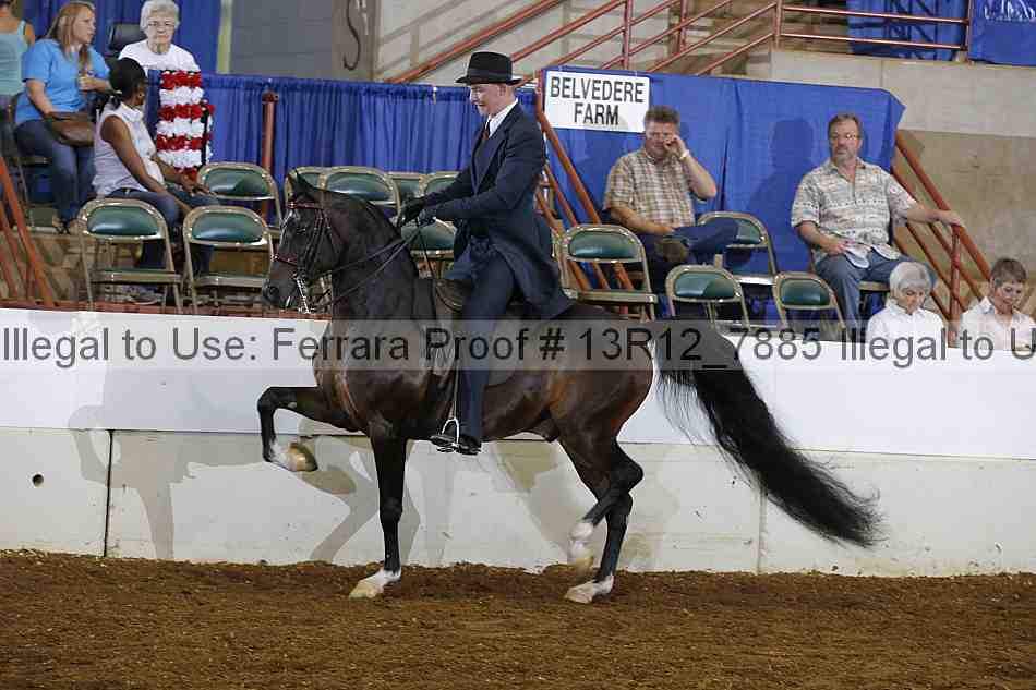 Proof 13r12_7885