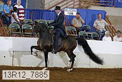 13r12_7885 proof