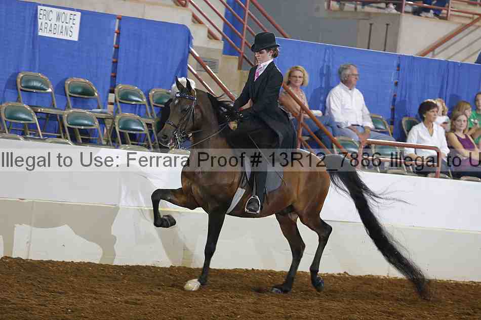 Proof 13r12_7886