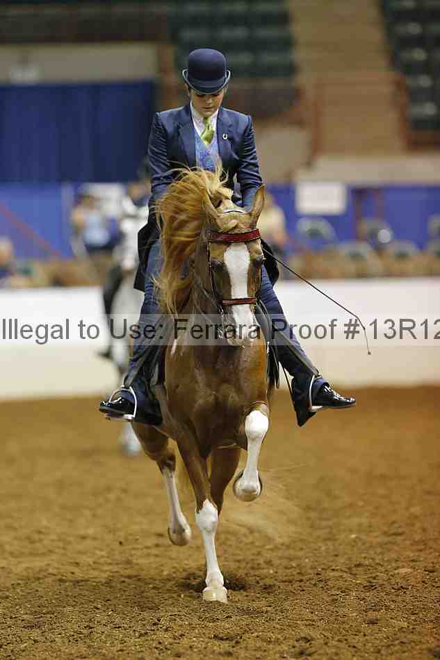 Proof 13r12_7887