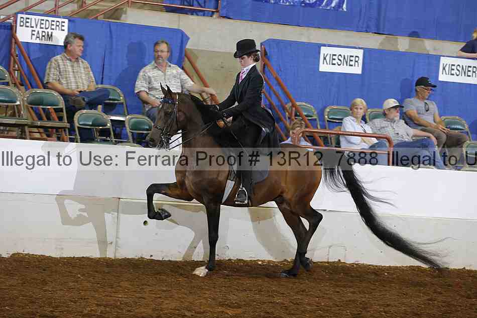 Proof 13r12_7888
