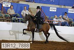 13r12_7888 proof