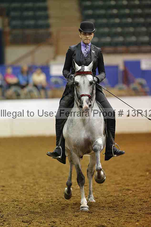 Proof 13r12_7889