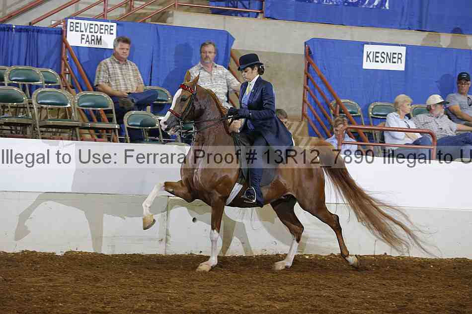 Proof 13r12_7890
