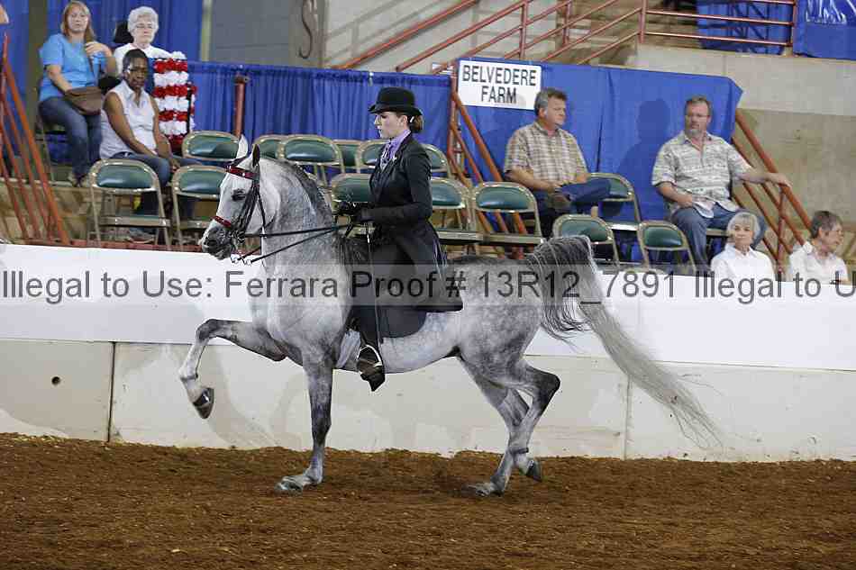 Proof 13r12_7891