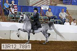 13r12_7891 proof