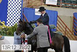 13r12_7892 proof