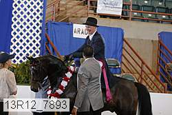 13r12_7893 proof