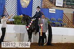 13r12_7894 proof