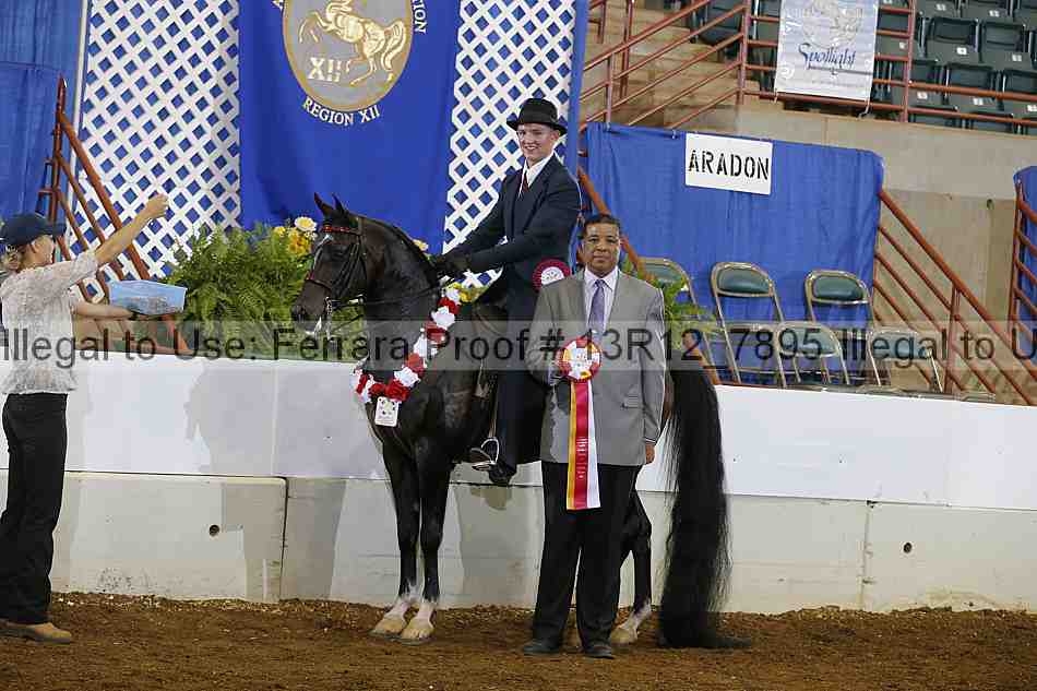 Proof 13r12_7895