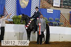 13r12_7895 proof