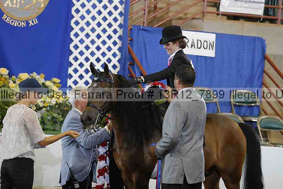 Proof 13r12_7899