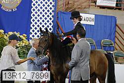 13r12_7899 proof