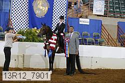 13r12_7901 proof