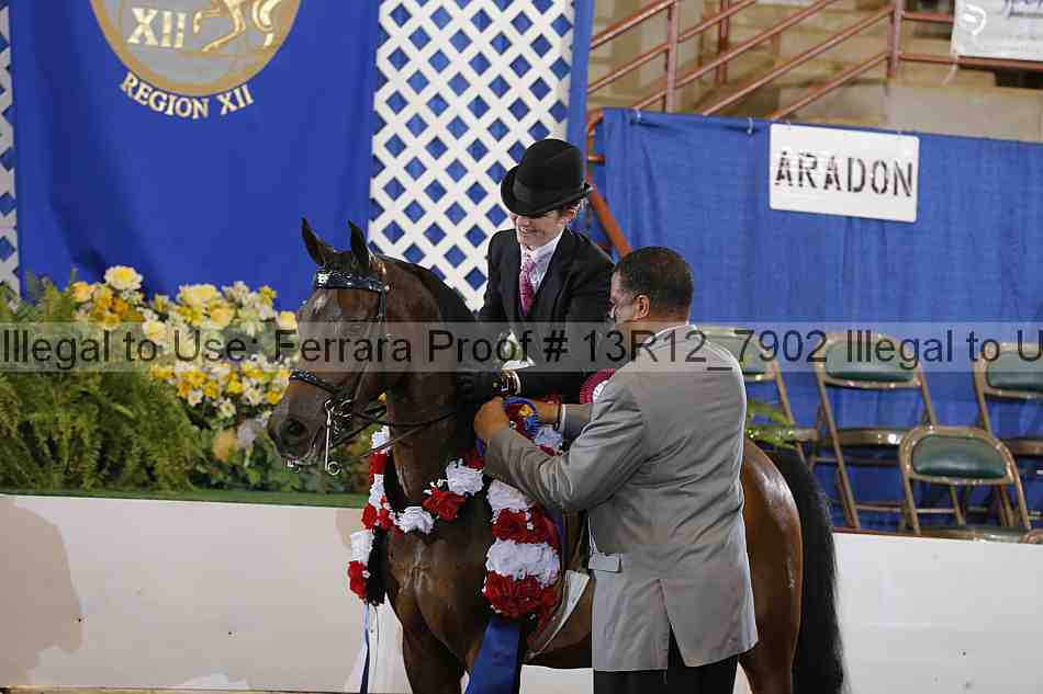 Proof 13r12_7902