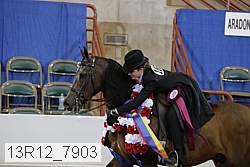 13r12_7903 proof