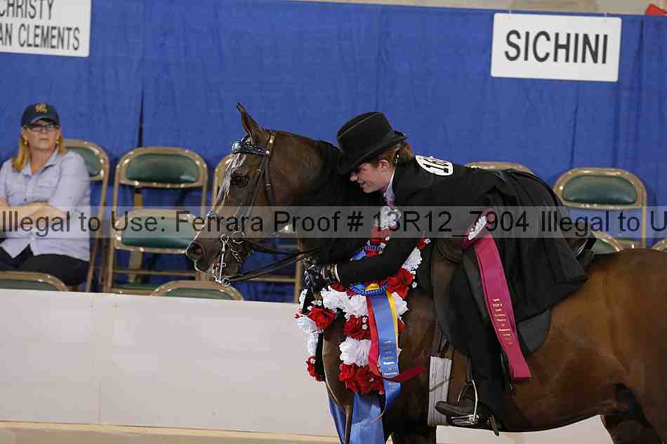 Proof 13r12_7904