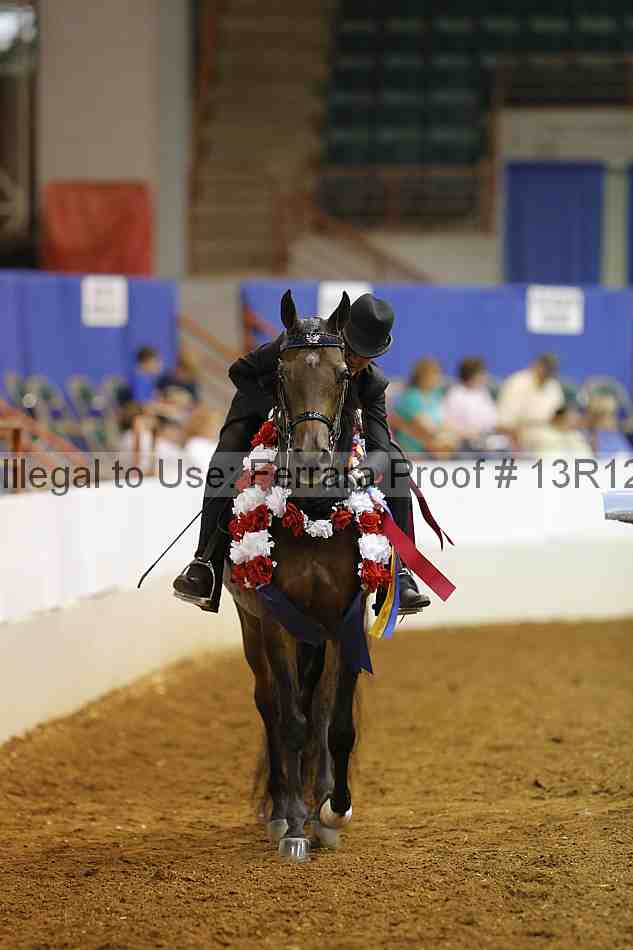 Proof 13r12_7906
