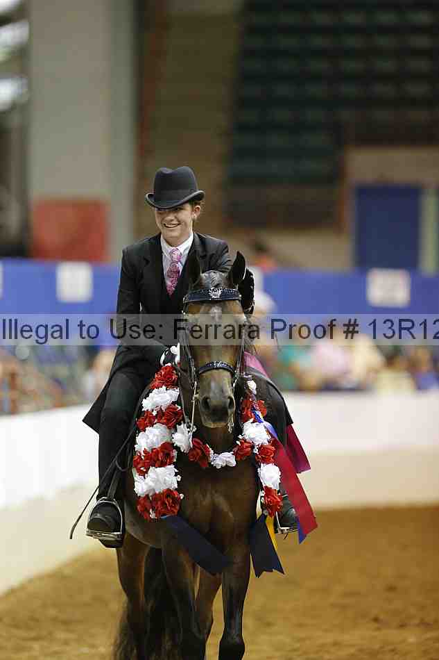 Proof 13r12_7909