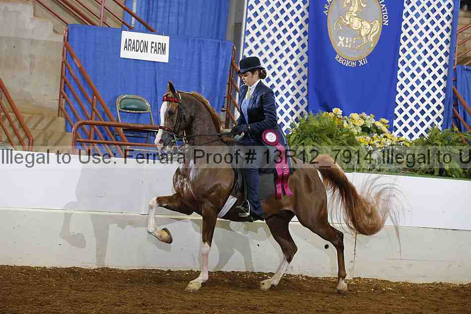 Proof 13r12_7914