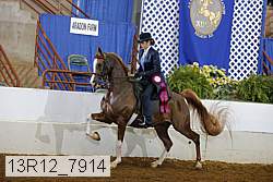 13r12_7914 proof