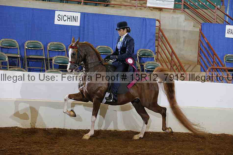 Proof 13r12_7915