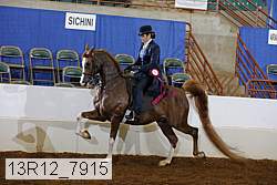 13r12_7915 proof