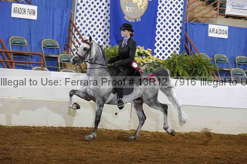 Proof 13r12_7916
