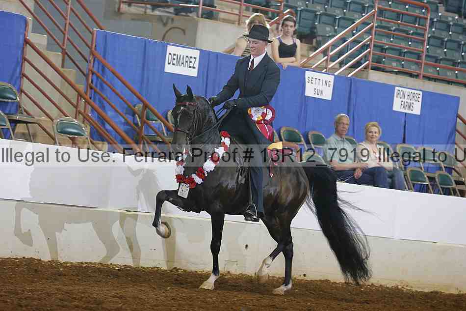 Proof 13r12_7919