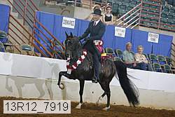 13r12_7919 proof
