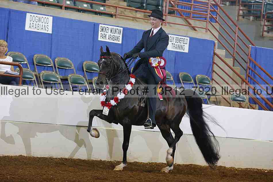 Proof 13r12_7920