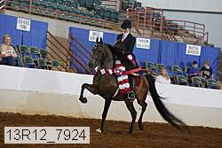 13r12_7924 proof