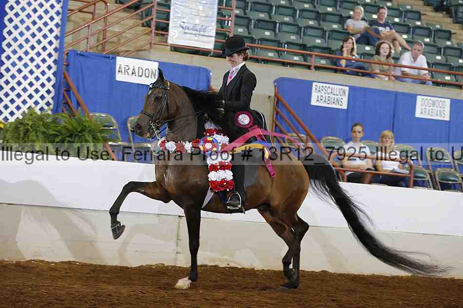 Proof 13r12_7925