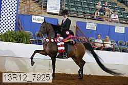 13r12_7925 proof