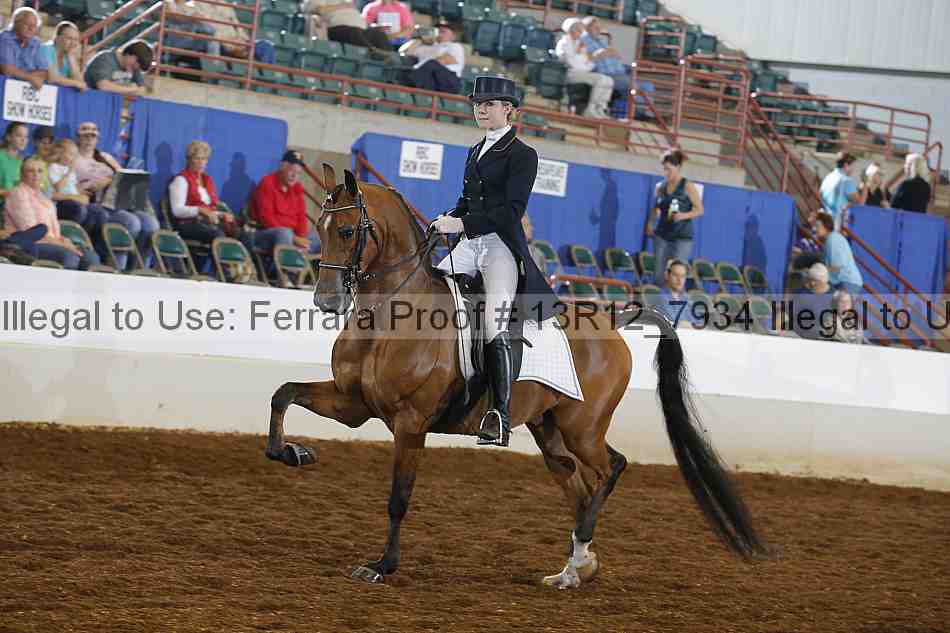 Proof 13r12_7934