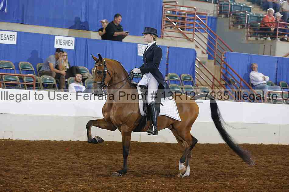 Proof 13r12_7935