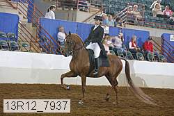 13r12_7937 proof
