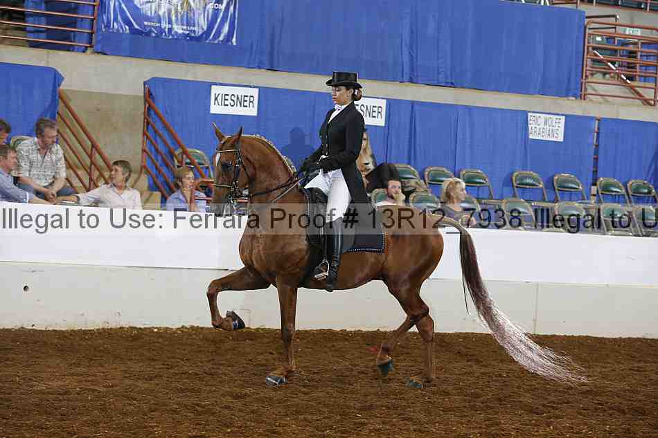 Proof 13r12_7938