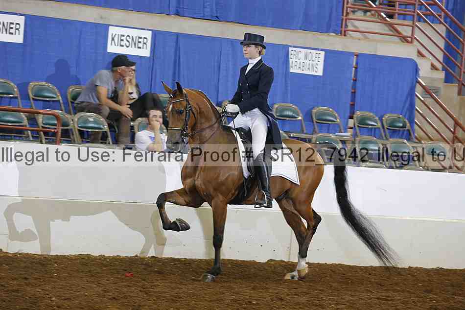 Proof 13r12_7942